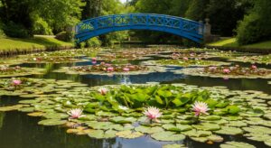 A scenic bridge over a pond in one of the gardens in Dordogne near Domme.